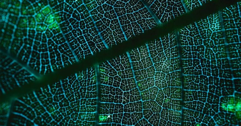 Les stratégies de stockage éco-responsable ouvrent-elles la voie aux datacenter durables ?